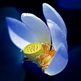 纸嫁衣团队作品《黑暗笔录》，5月24日上线Steam。